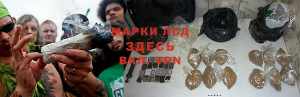 ПСИЛОЦИБИНОВЫЕ ГРИБЫ Алзамай