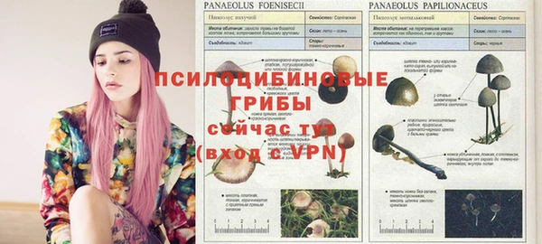 гидропоника Абаза