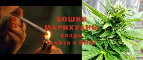 гашик Пересвет