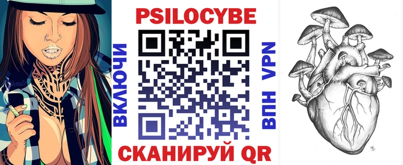 наркотики Новопавловск мега ССЫЛКА Псилоцибиновые грибы Psilocybe